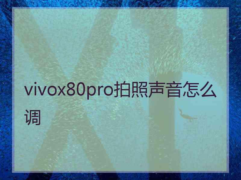 vivox80pro拍照声音怎么调