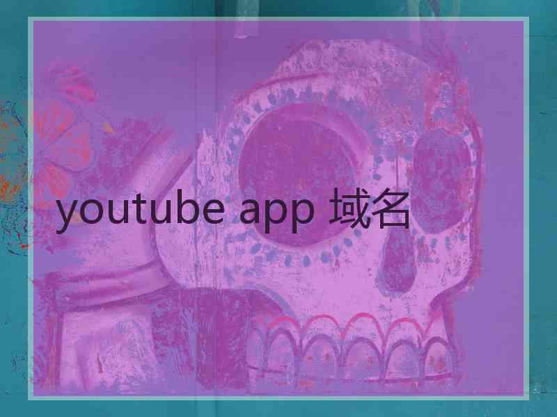 youtube app 域名