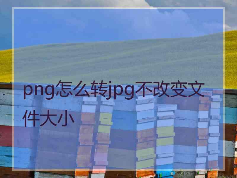 png怎么转jpg不改变文件大小