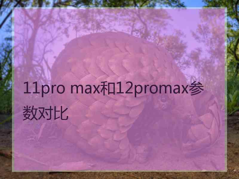 11pro max和12promax参数对比