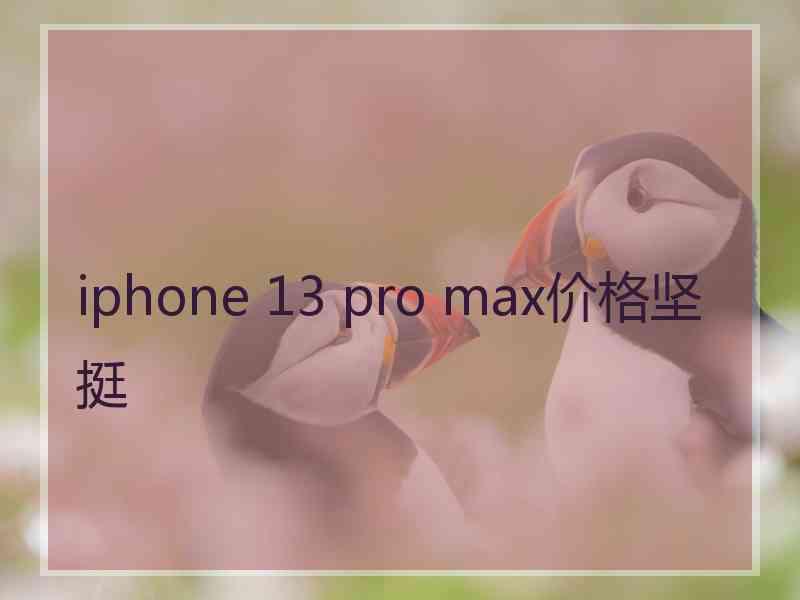 iphone 13 pro max价格坚挺