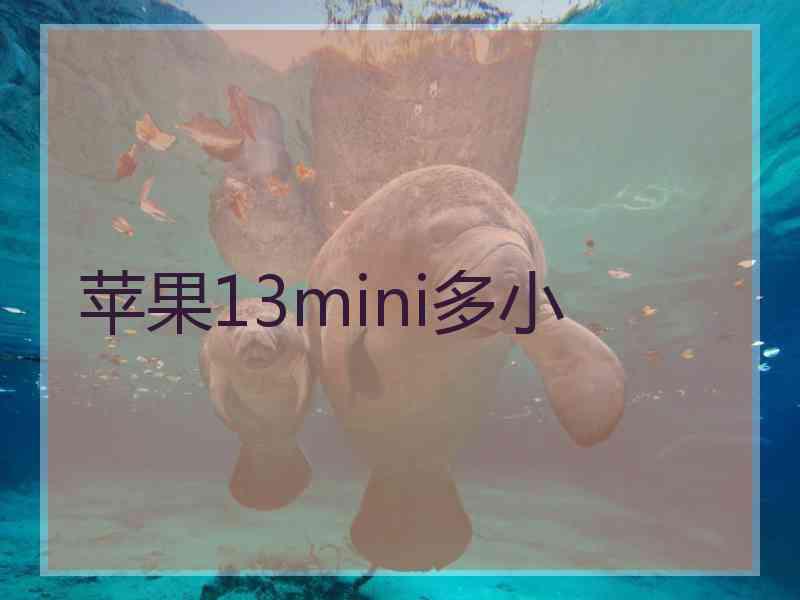 苹果13mini多小