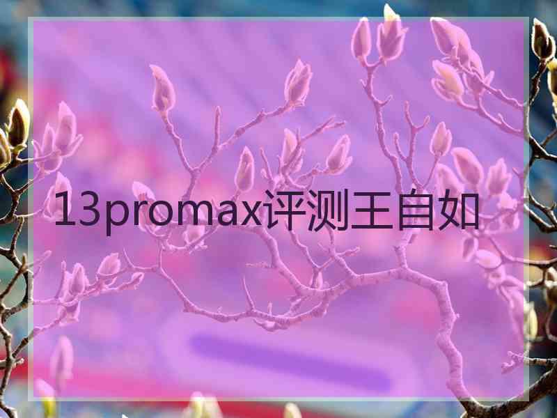 13promax评测王自如