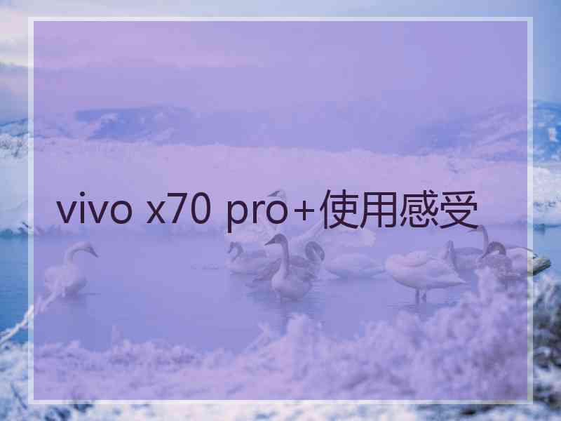 vivo x70 pro+使用感受