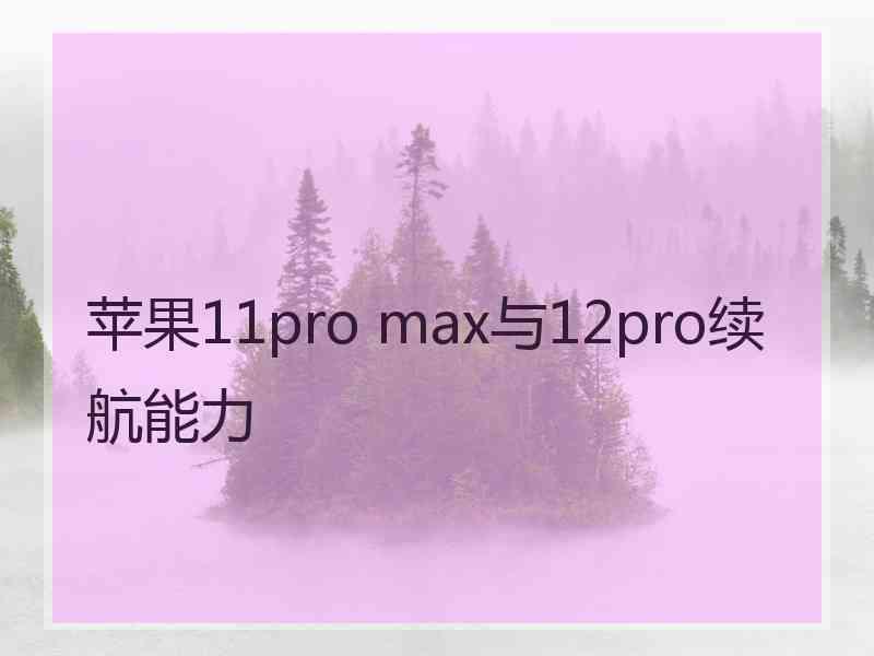 苹果11pro max与12pro续航能力