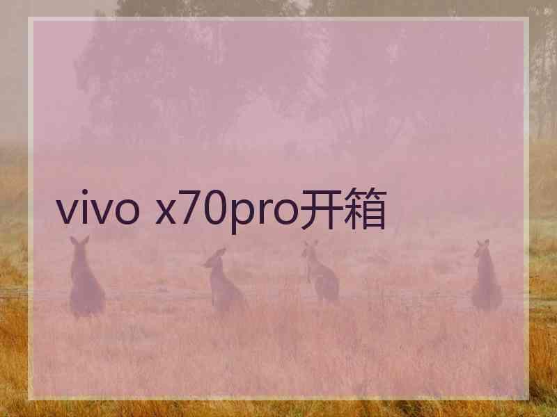 vivo x70pro开箱