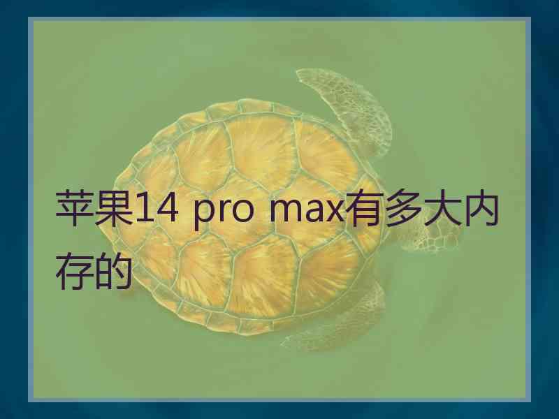 苹果14 pro max有多大内存的