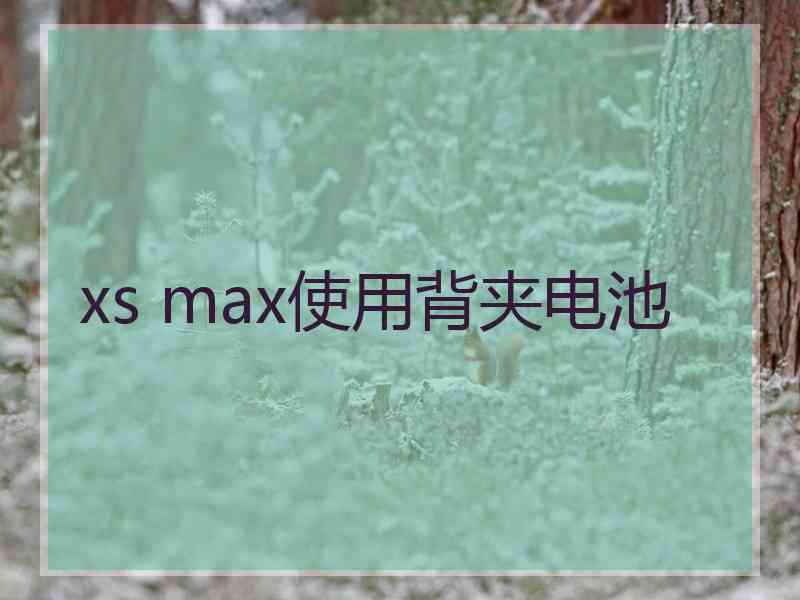 xs max使用背夹电池