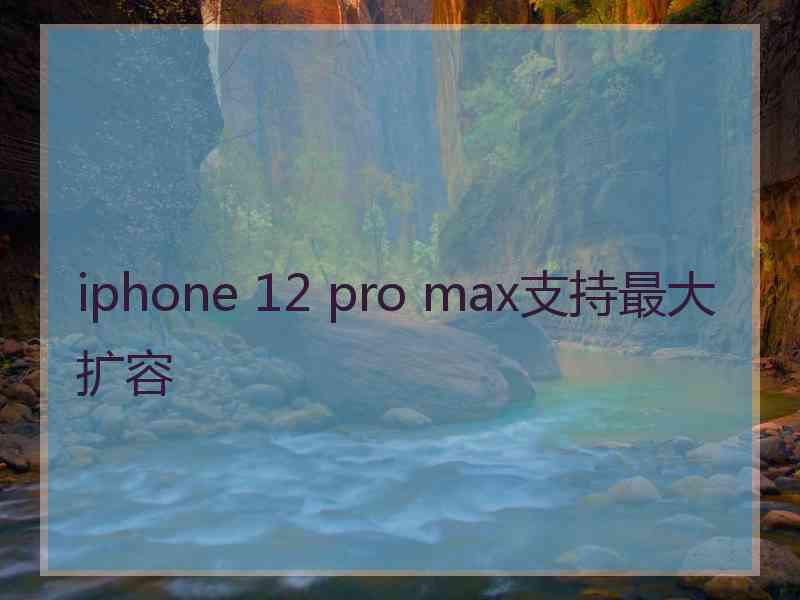 iphone 12 pro max支持最大扩容