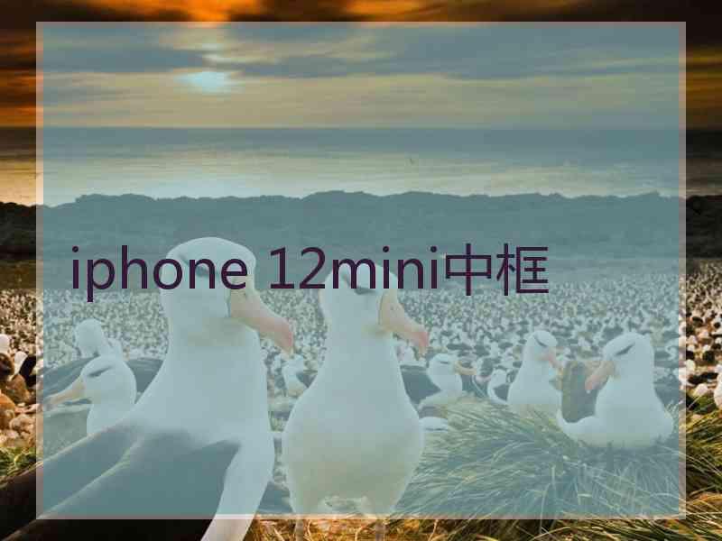 iphone 12mini中框