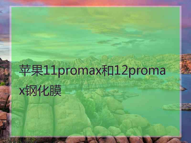 苹果11promax和12promax钢化膜