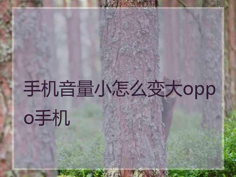 手机音量小怎么变大oppo手机