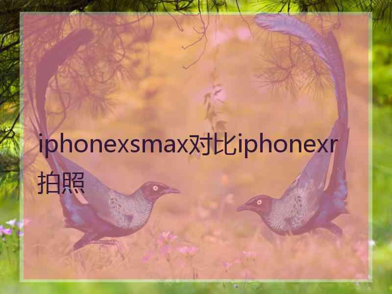 iphonexsmax对比iphonexr拍照