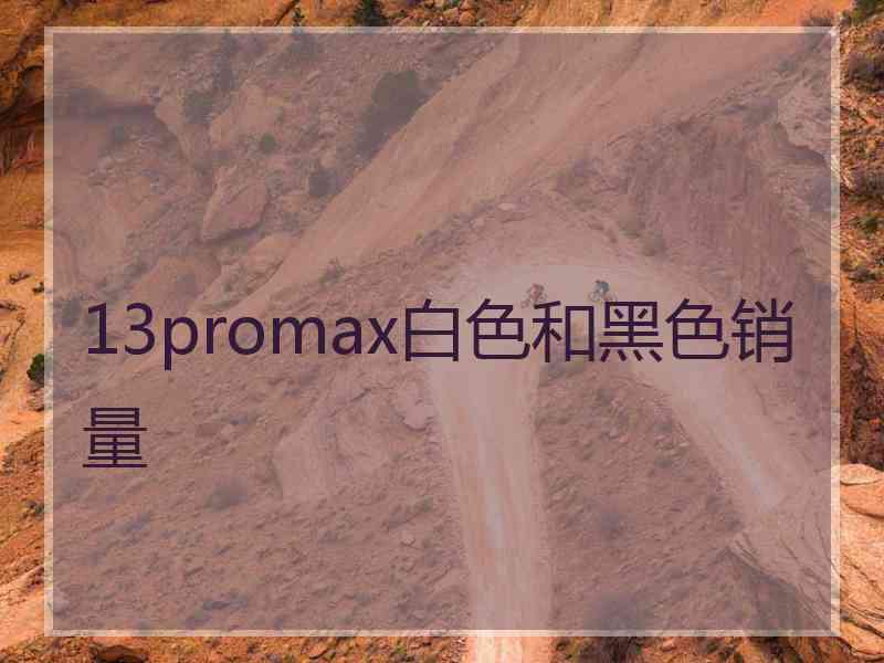 13promax白色和黑色销量