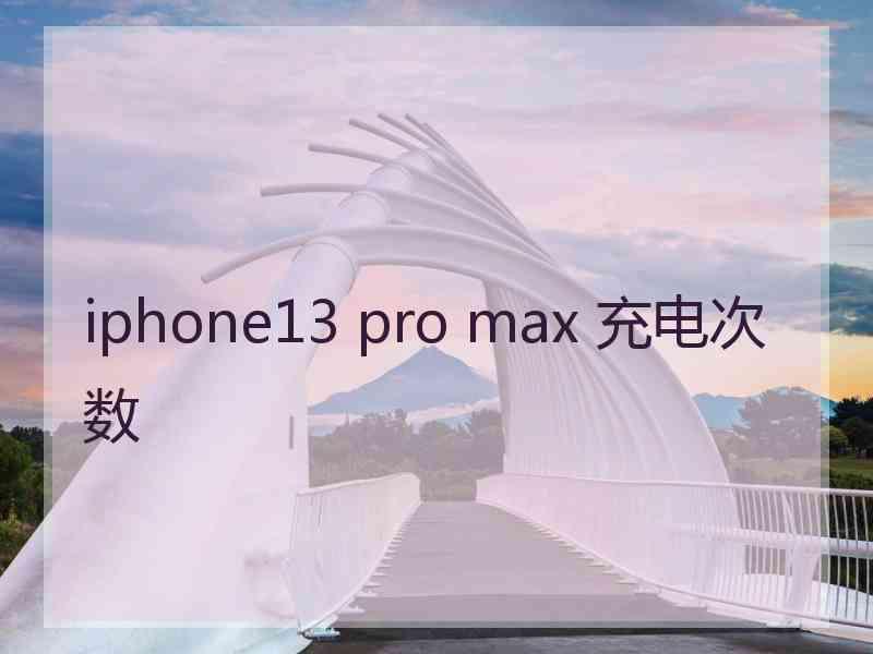 iphone13 pro max 充电次数