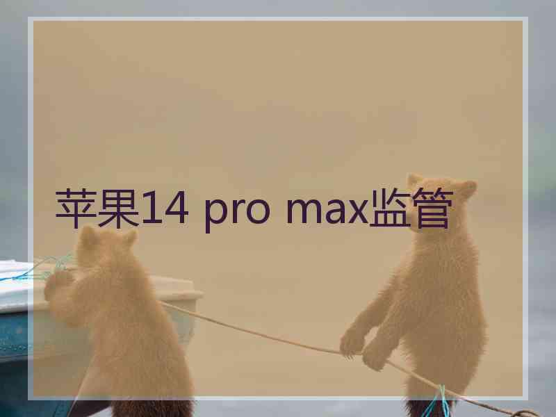 苹果14 pro max监管