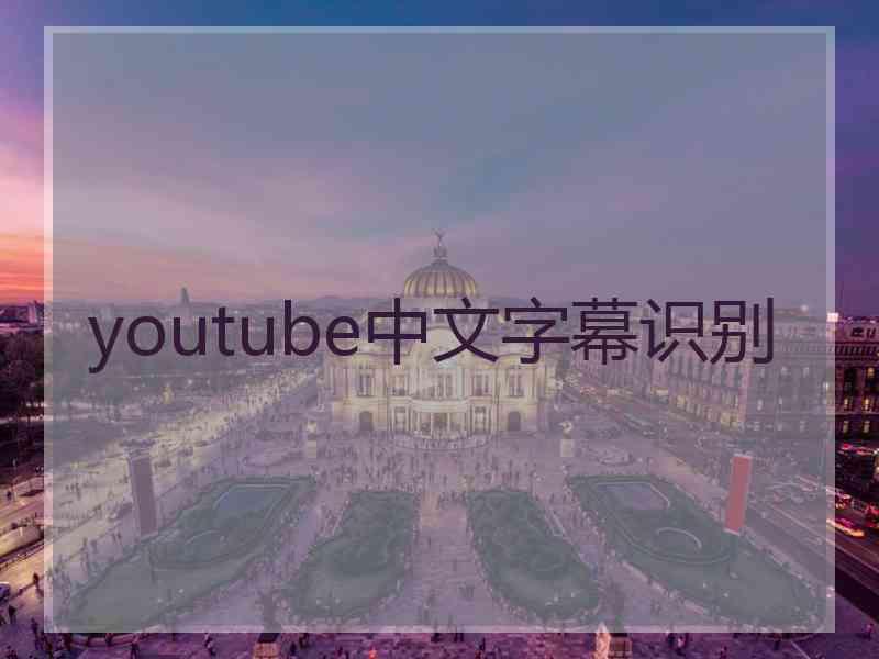 youtube中文字幕识别