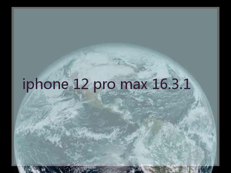 iphone 12 pro max 16.3.1