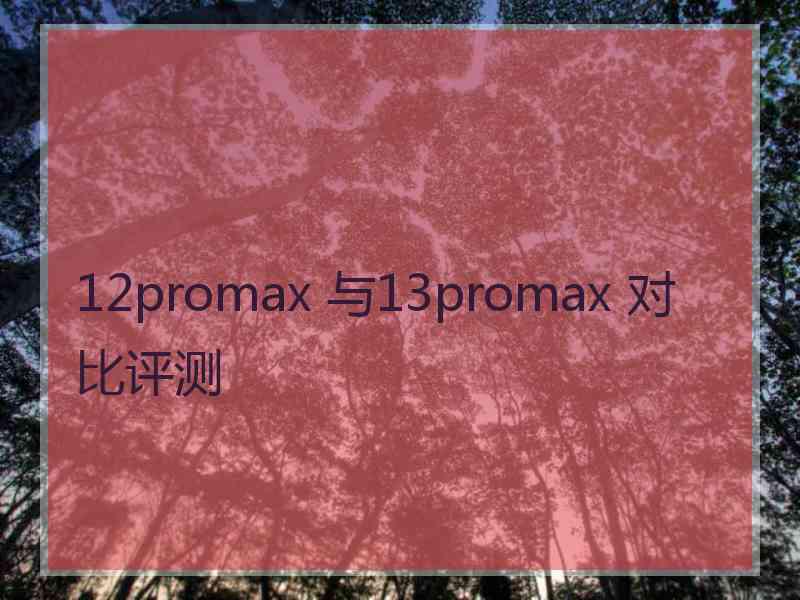 12promax 与13promax 对比评测