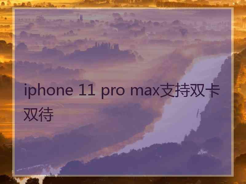 iphone 11 pro max支持双卡双待