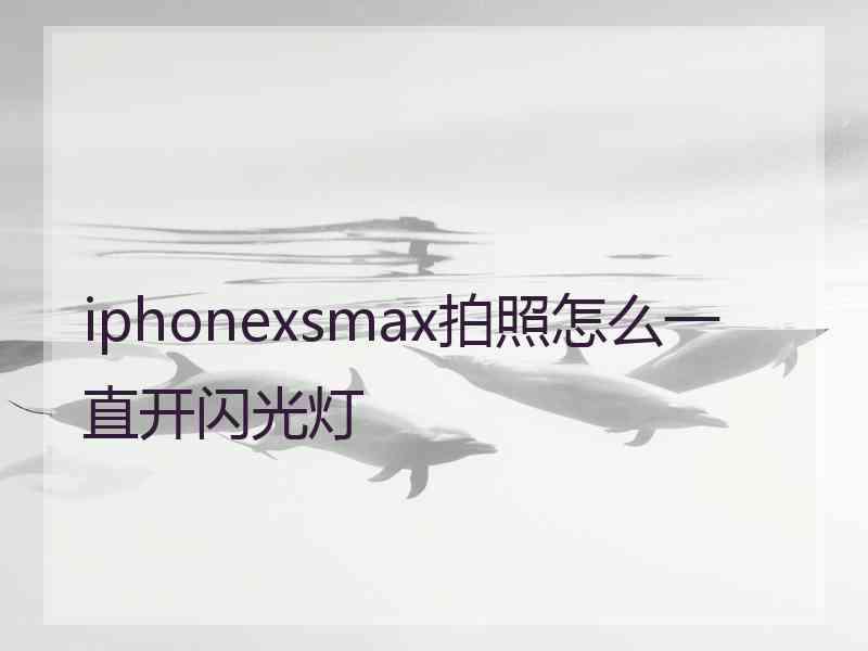 iphonexsmax拍照怎么一直开闪光灯