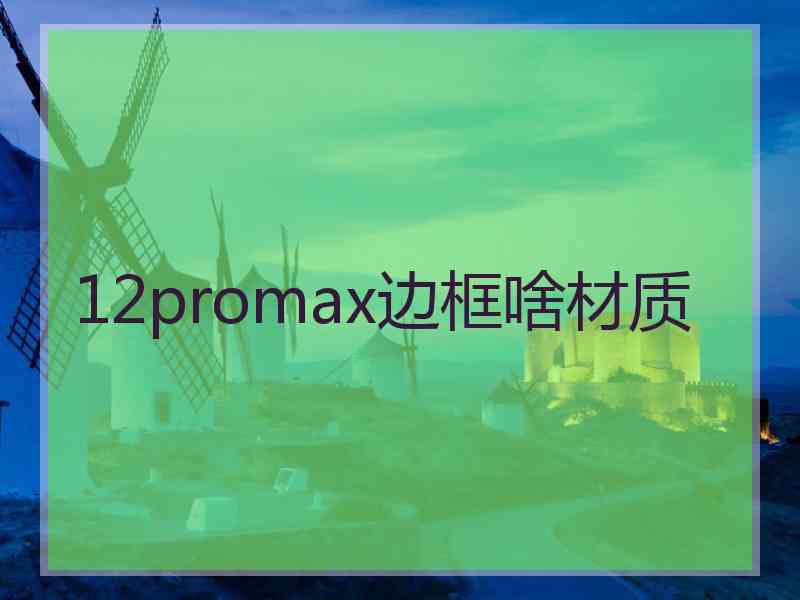 12promax边框啥材质