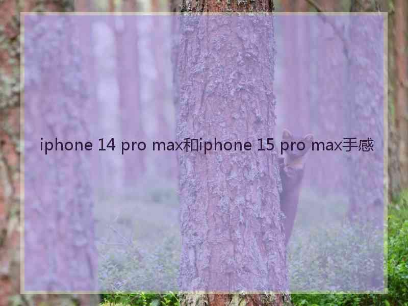 iphone 14 pro max和iphone 15 pro max手感