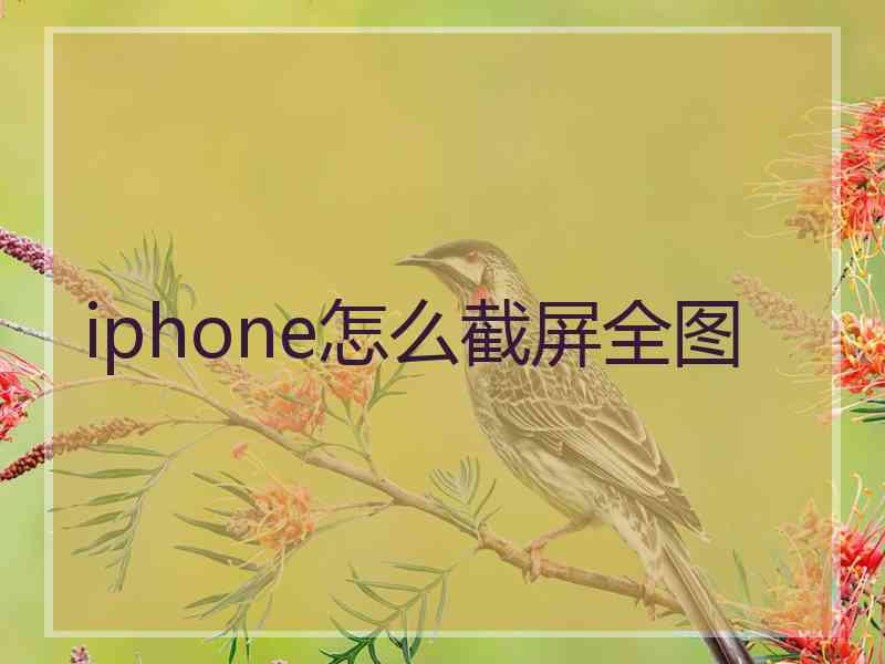 iphone怎么截屏全图