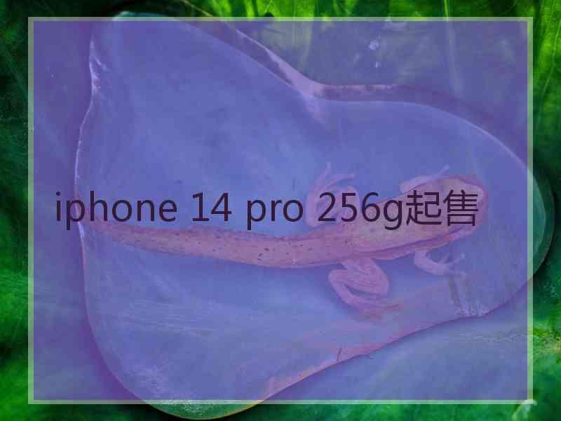 iphone 14 pro 256g起售