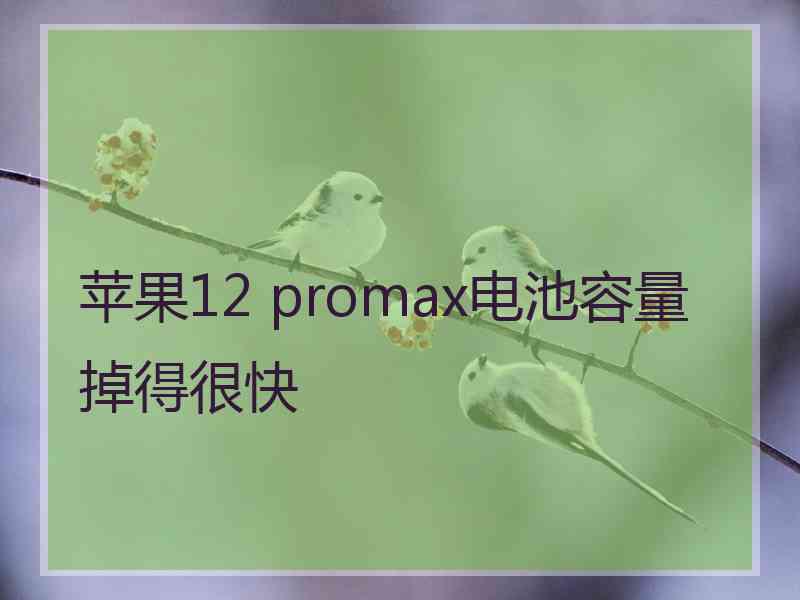 苹果12 promax电池容量掉得很快