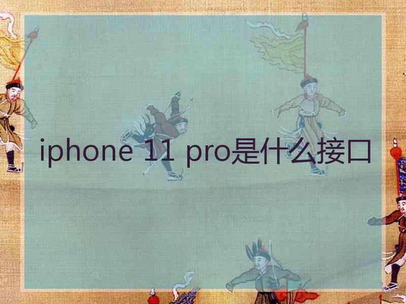 iphone 11 pro是什么接口