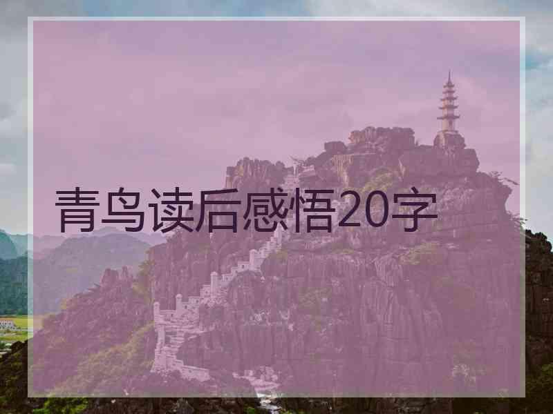 青鸟读后感悟20字