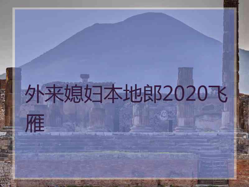 外来媳妇本地郎2020飞雁