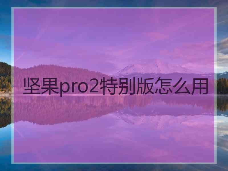 坚果pro2特别版怎么用