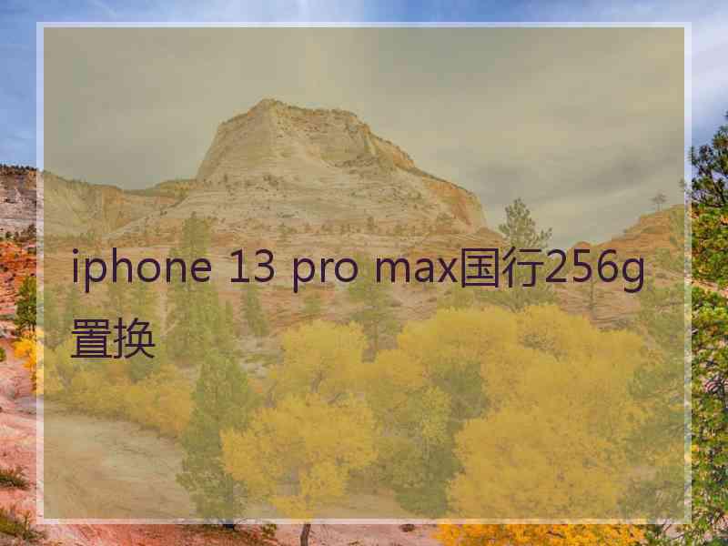 iphone 13 pro max国行256g置换