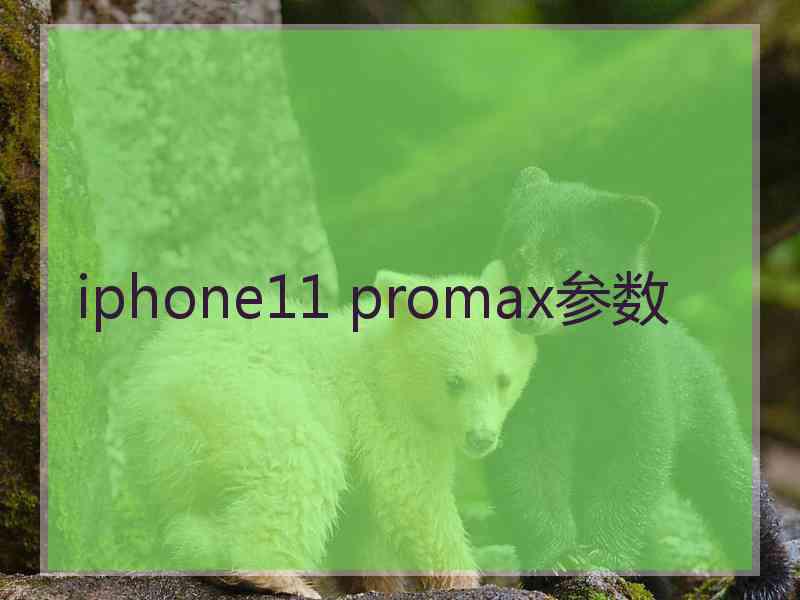 iphone11 promax参数