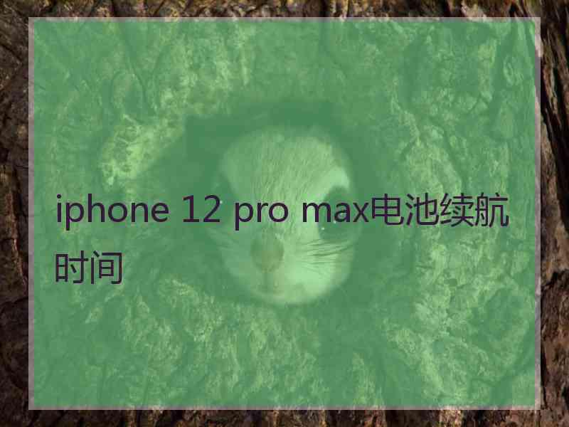 iphone 12 pro max电池续航时间