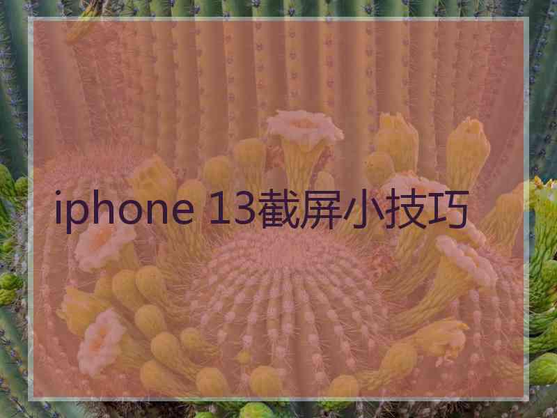 iphone 13截屏小技巧