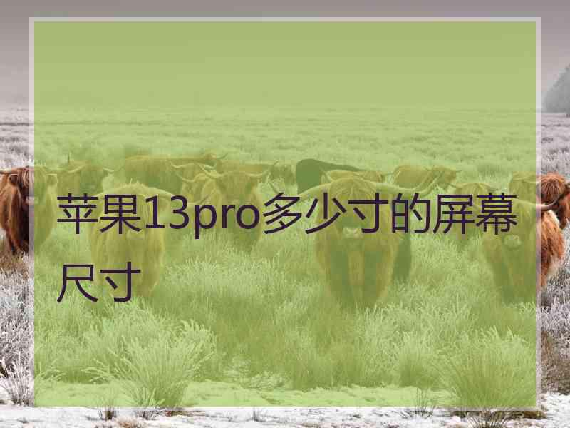 苹果13pro多少寸的屏幕尺寸