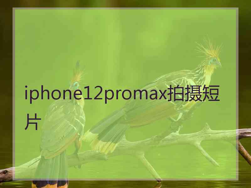 iphone12promax拍摄短片