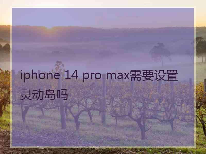 iphone 14 pro max需要设置灵动岛吗