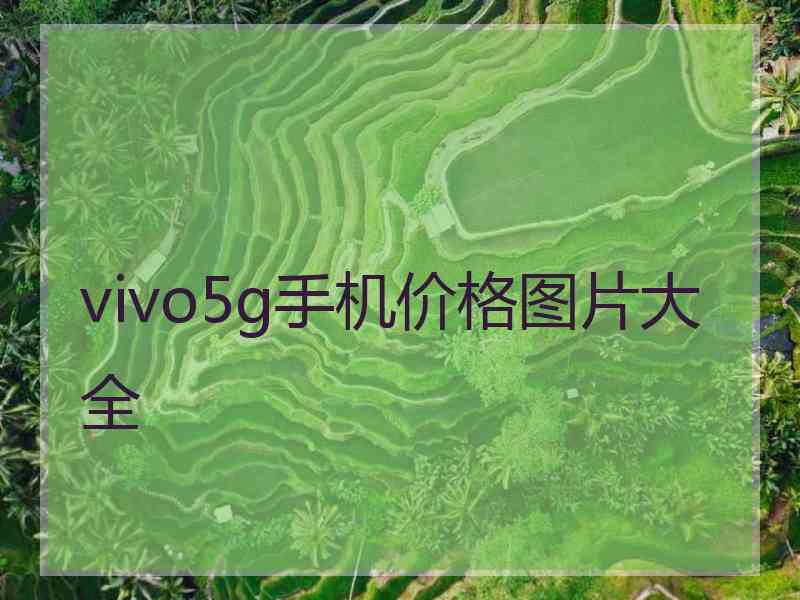 vivo5g手机价格图片大全