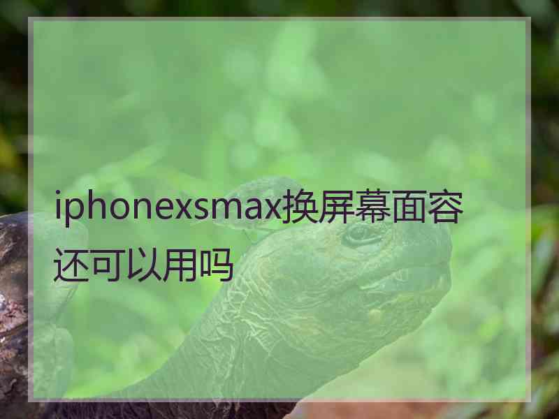 iphonexsmax换屏幕面容还可以用吗