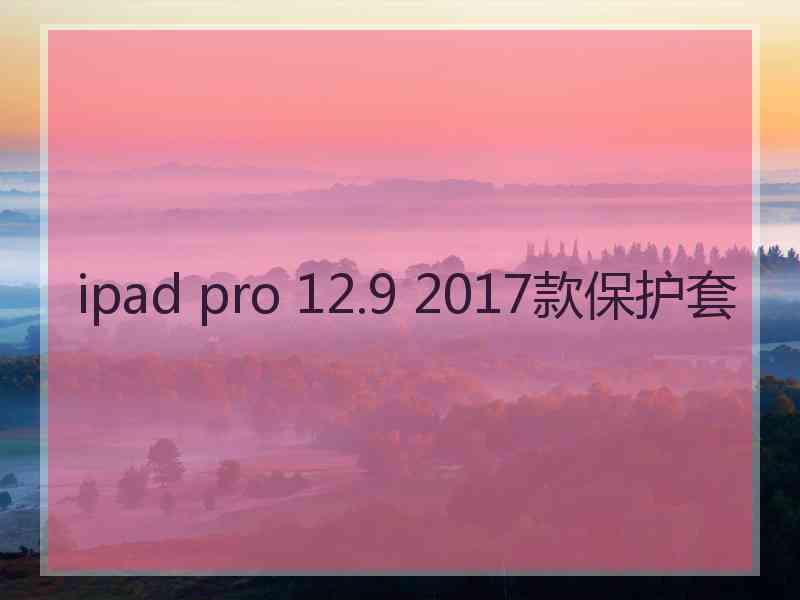 ipad pro 12.9 2017款保护套