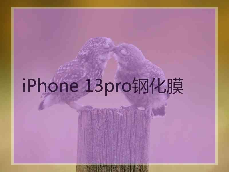 iPhone 13pro钢化膜