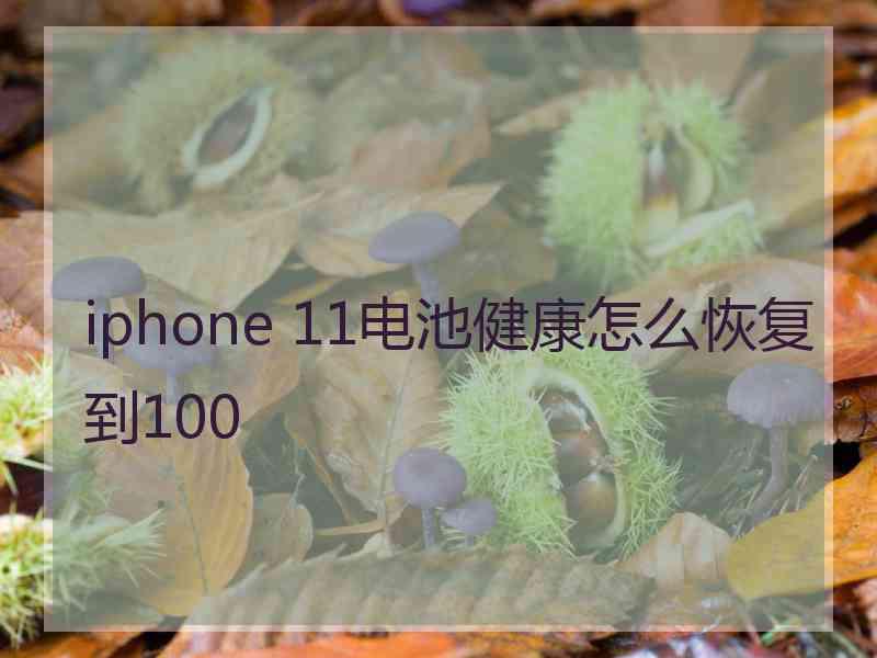 iphone 11电池健康怎么恢复到100