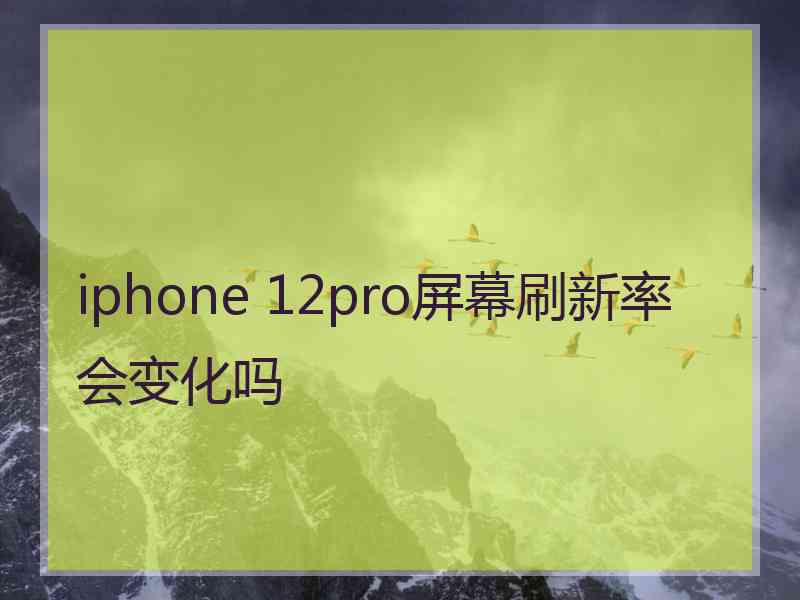 iphone 12pro屏幕刷新率会变化吗