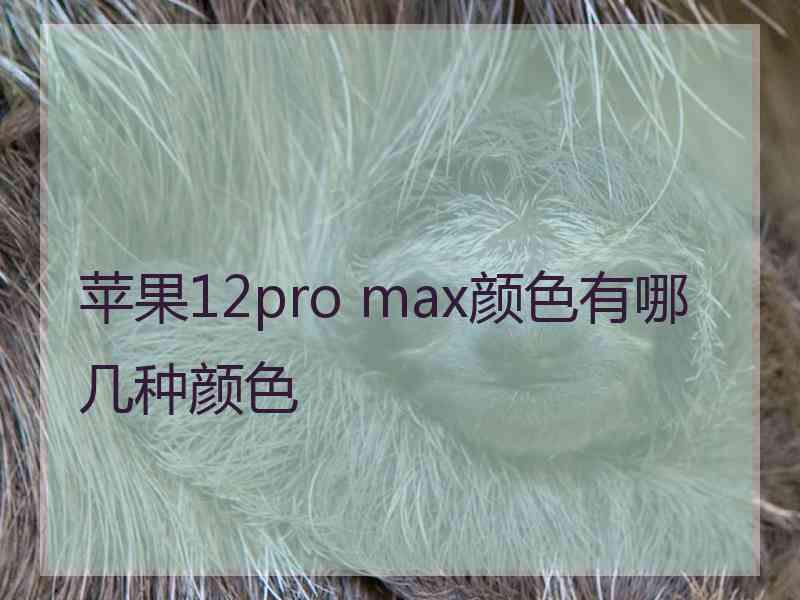 苹果12pro max颜色有哪几种颜色