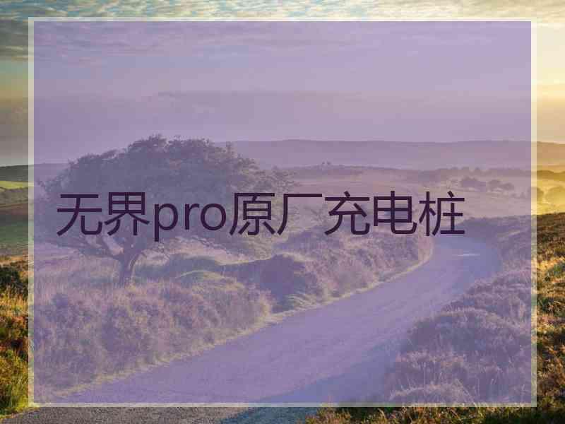 无界pro原厂充电桩