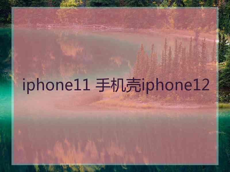 iphone11 手机壳iphone12